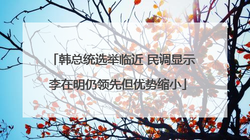 韩总统选举临近 民调显示李在明仍领先但优势缩小