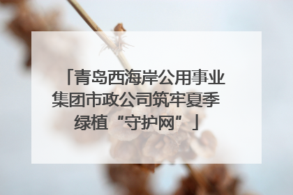 青岛西海岸公用事业集团市政公司筑牢夏季绿植“守护网”