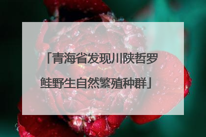 青海省发现川陕哲罗鲑野生自然繁殖种群