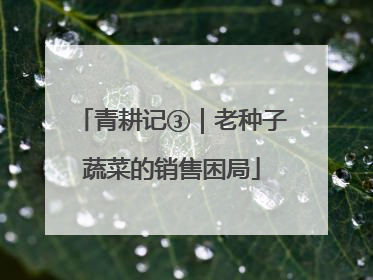 青耕记③｜老种子蔬菜的销售困局