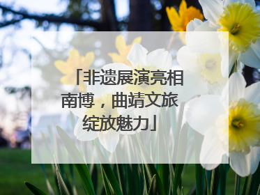 非遗展演亮相南博，曲靖文旅绽放魅力