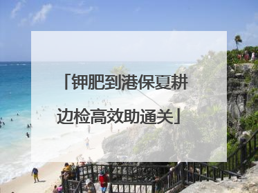 钾肥到港保夏耕 边检高效助通关