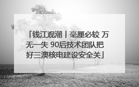 钱江观潮丨毫厘必较 万无一失 90后技术团队把好三澳核电建设安全关