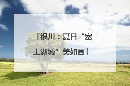 银川：夏日“塞上湖城”美如画
