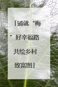 铺就“梅”好幸福路 共绘乡村致富图