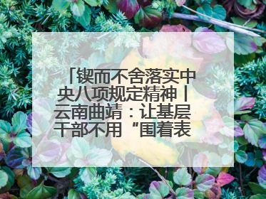 锲而不舍落实中央八项规定精神丨云南曲靖：让基层干部不用“围着表格转”