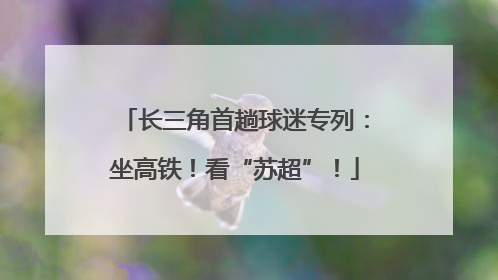 长三角首趟球迷专列：坐高铁！看“苏超”！