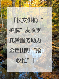 长安供销“护航”麦收季托管服务助力金色田野“抢收忙”