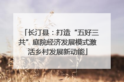 长汀县：打造“五好三共”庭院经济发展模式激活乡村发展新动能