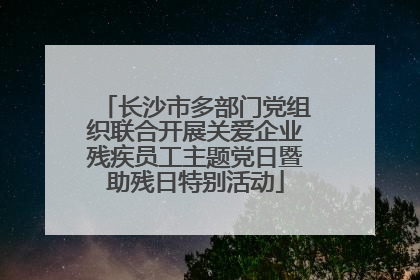 长沙市多部门党组织联合开展关爱企业残疾员工主题党日暨助残日特别活动