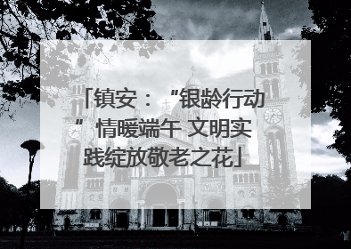 镇安：“银龄行动”情暖端午 文明实践绽放敬老之花