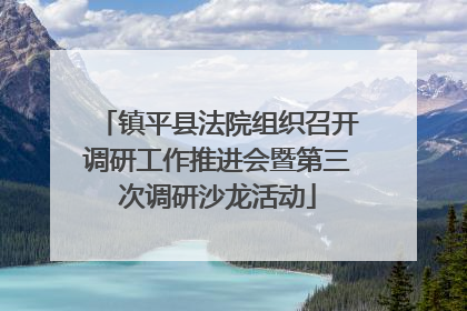 镇平县法院组织召开调研工作推进会暨第三次调研沙龙活动