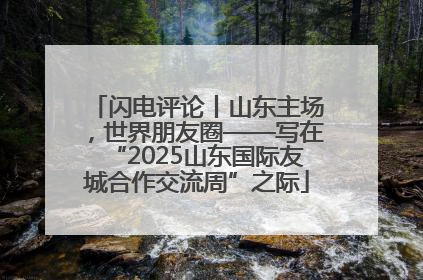 闪电评论丨山东主场，世界朋友圈——写在“2025山东国际友城合作交流周”之际
