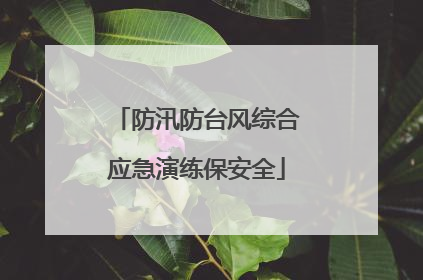 防汛防台风综合应急演练保安全