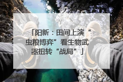 阳新：田间上演“虫粮博弈”看生物武器扭转“战局”