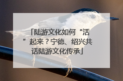 陆游文化如何“活 ”起来？宁德、绍兴共话陆游文化传承
