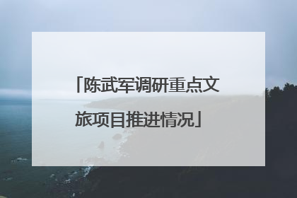 陈武军调研重点文旅项目推进情况