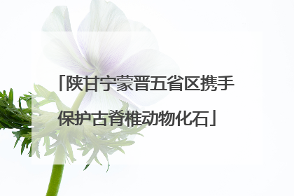 陕甘宁蒙晋五省区携手保护古脊椎动物化石