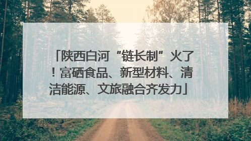 陕西白河“链长制”火了！富硒食品、新型材料、清洁能源、文旅融合齐发力