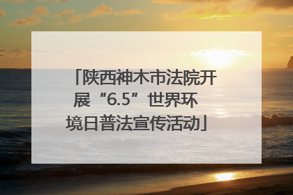 陕西神木市法院开展“6.5”世界环境日普法宣传活动