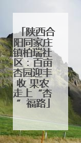 陕西合阳同家庄镇柏瑞社区：百亩杏园迎丰收 果农走上“杏”福路