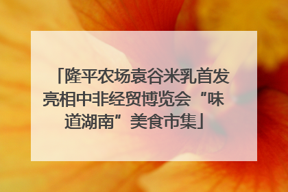 隆平农场袁谷米乳首发亮相中非经贸博览会“味道湖南”美食市集