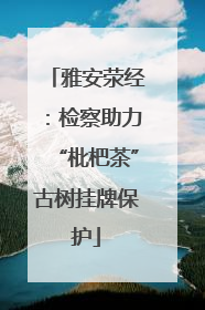 雅安荥经：检察助力“枇杷茶”古树挂牌保护