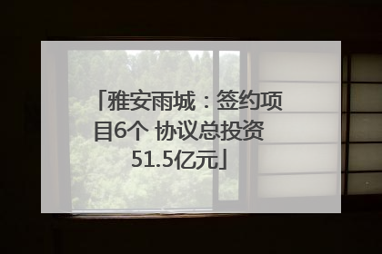 雅安雨城：签约项目6个 协议总投资51.5亿元