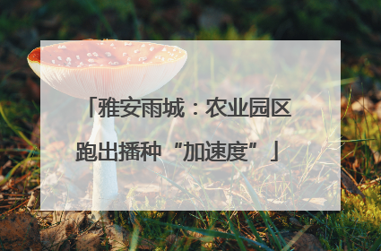 雅安雨城：农业园区跑出播种“加速度”