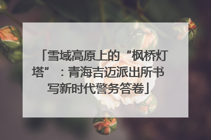 雪域高原上的“枫桥灯塔”：青海吉迈派出所书写新时代警务答卷