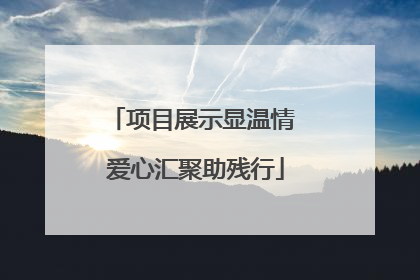 项目展示显温情 爱心汇聚助残行