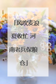 风吹麦浪夏收忙 河南老兵保粮仓