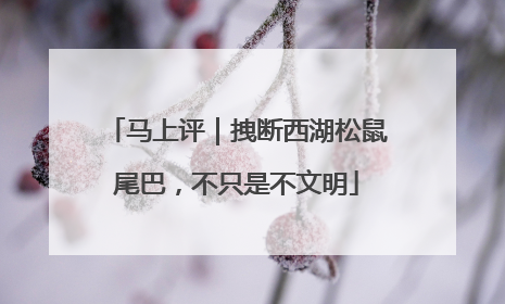 马上评｜拽断西湖松鼠尾巴，不只是不文明