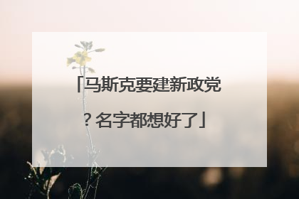 马斯克要建新政党？名字都想好了