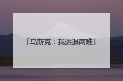 马斯克：我进退两难