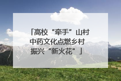 高校“牵手”山村 中药文化点燃乡村振兴“新火花”