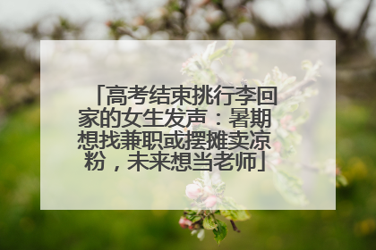 高考结束挑行李回家的女生发声：暑期想找兼职或摆摊卖凉粉，未来想当老师
