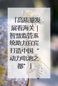 高质量发展看海关｜智慧监管系统助力宜宾打造中国“动力电池之都”