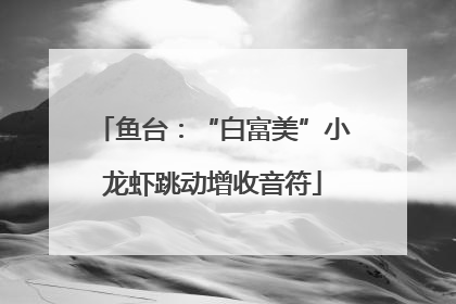 鱼台：“白富美”小龙虾跳动增收音符