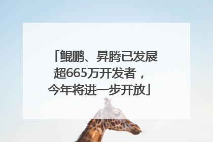 鲲鹏、昇腾已发展超665万开发者，今年将进一步开放