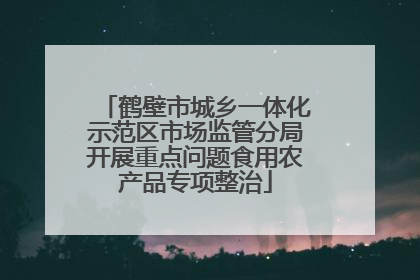 鹤壁市城乡一体化示范区市场监管分局开展重点问题食用农产品专项整治