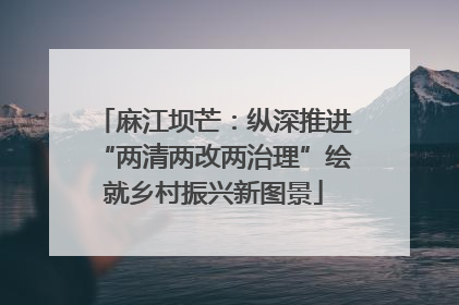 麻江坝芒：纵深推进“两清两改两治理”绘就乡村振兴新图景