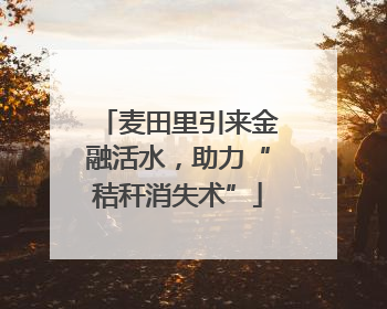 麦田里引来金融活水，助力“秸秆消失术”