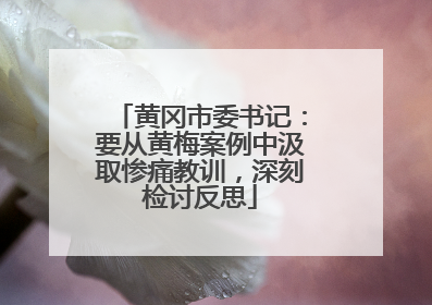 黄冈市委书记：要从黄梅案例中汲取惨痛教训，深刻检讨反思