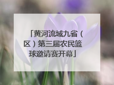 黄河流域九省（区）第三届农民篮球邀请赛开幕