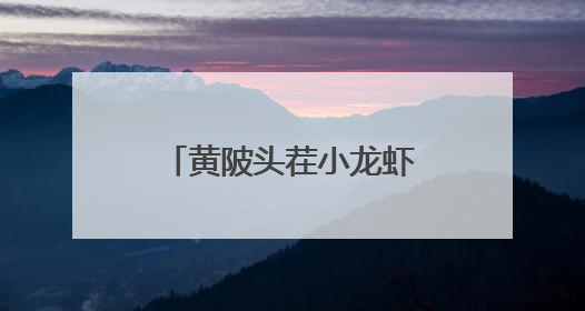 黄陂头茬小龙虾开炫，日供8000斤，快来尝鲜