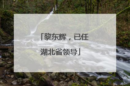 黎东辉，已任湖北省领导