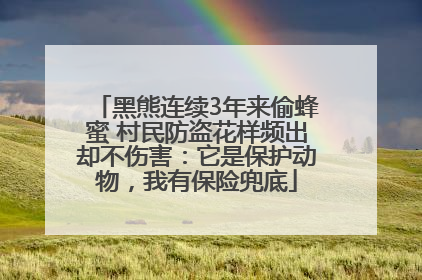 黑熊连续3年来偷蜂蜜 村民防盗花样频出却不伤害：它是保护动物，我有保险兜底