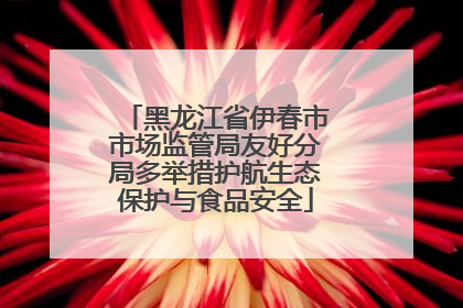 黑龙江省伊春市市场监管局友好分局多举措护航生态保护与食品安全