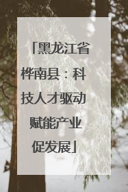 黑龙江省桦南县：科技人才驱动 赋能产业促发展